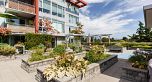 PH4 2321 Scotia Street