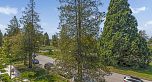 302 4240 Cambie Street