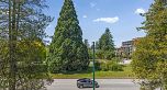 302 4240 Cambie Street