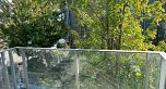 306 4888 Nanaimo Street