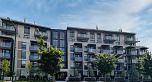 315 5212 Cambie Street