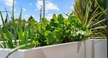 201 3420 St. Catherines Street