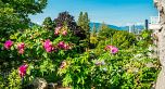 3394 Seaforth Drive