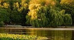 1FL 2450 GARDEN DRIVE, Vancouver BC V5N 0K1