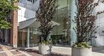 802 1199 Marinaside Crescent