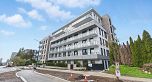310 6859 Cambie Street