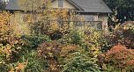 3311 Quesnel Drive
