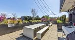 316 2520 Guelph Street