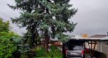 3312 Anzio Drive