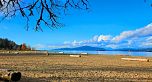 4355 Locarno Crescent