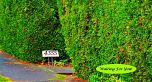 4355 Locarno Crescent