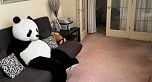 4359 4359 ARBUTUS STREET, Vancouver BC V6J 4S4