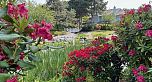 230 Waterleigh Drive