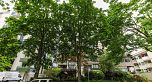 202 1165 Burnaby Street