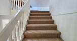 3319 Sophia Street