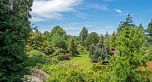 304 4488 Cambie Street