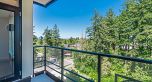 807 5380 Crooked Branch Road