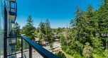 807 5380 Crooked Branch Road