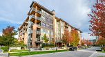 PH7 3462 Ross Drive