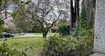 1384 W 32nd Avenue