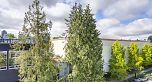 507 1635 W 3rd Avenue