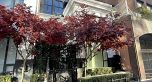 1110 Hornby Street
