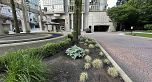 2506 930 Cambie Street