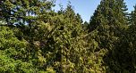 3060 W 45th Avenue