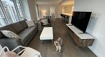 13FL 1111 RICHARDS STREET, Vancouver BC V6B 3E1