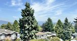 3632 E 28th Avenue