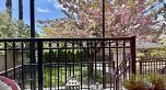 7165 Maple Street