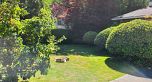 2209 W 36th Avenue