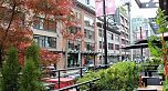 1202 1455 Howe