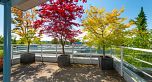 403 2555 W 4th Avenue