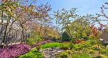 301 5775 Hampton Place