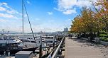 503 1777 Bayshore Drive