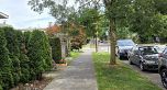 1761 William Street