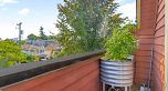 3103 St. George Street