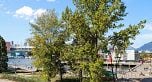303 1601 QUEBEC STREET, Vancouver BC V6A 0J9