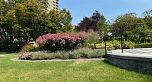 206 1740 Comox Street