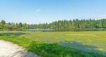 306 1972 Robson Street
