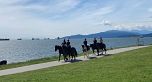 501 1345 Burnaby Street