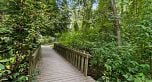 3418 Weymoor Place