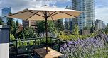 2 1152 Comox Street