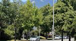 3058 Charles Street