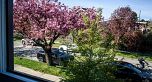 184 W 63rd Avenue