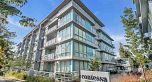 303 5289 Cambie Street