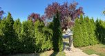 2938 W 23rd Avenue