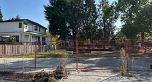 6498 Cartier Street