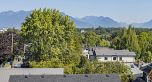 3439 Porter Street